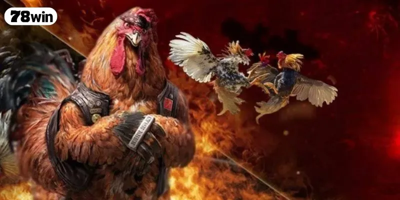 Tìm hiểu chi tiết về chuyên mục đá gà 78WIN